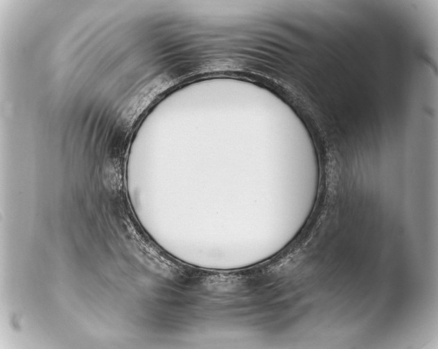 X0000103940929200810031319