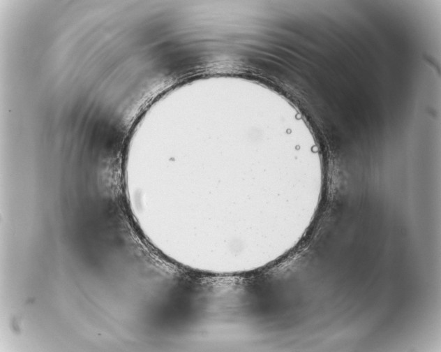 X0000103940930200810031319