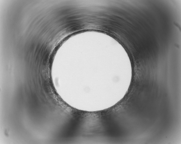 X0000103940931200810031319