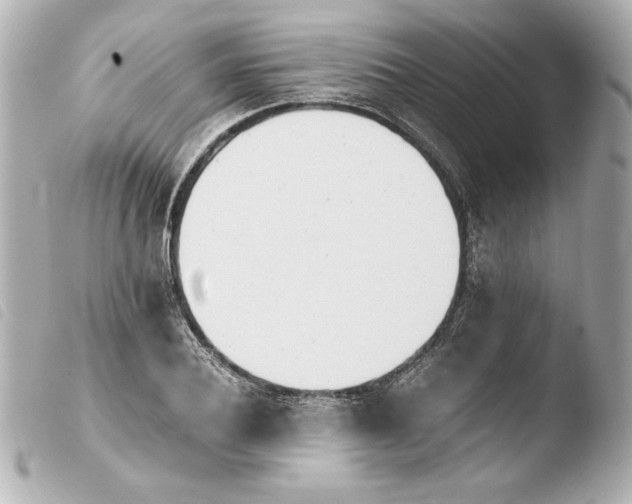 X0000103940932200810031319