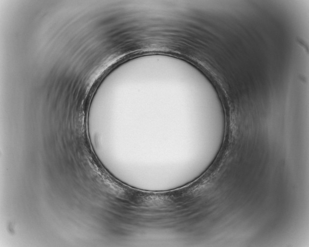 X0000103940933200810031319