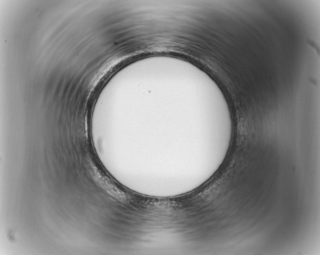 X0000103940934200810031319