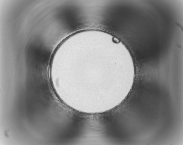 X0000103940936200810031319