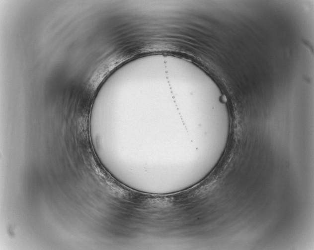 X0000103940937200810031319