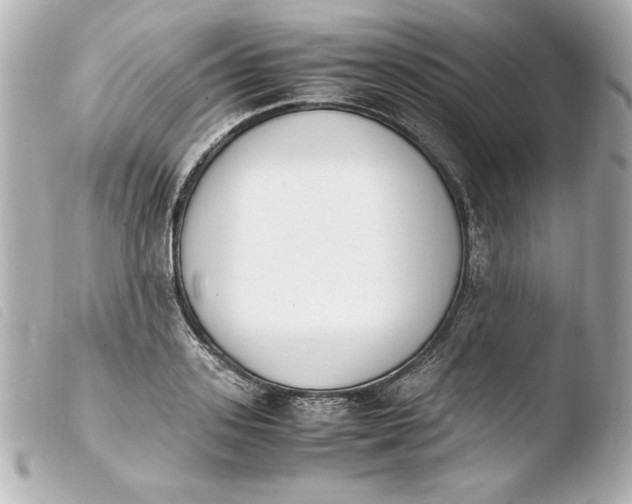 X0000103940939200810031319