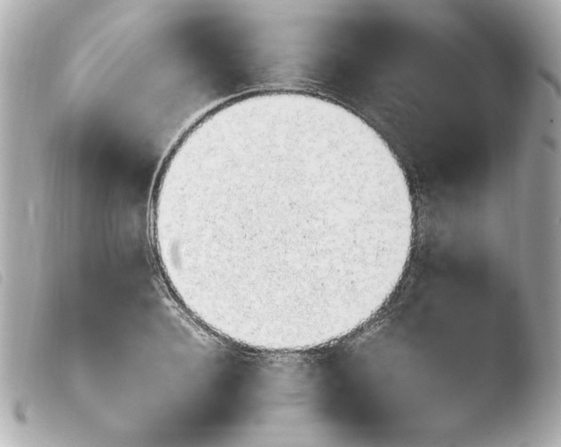 X0000103940940200810031319