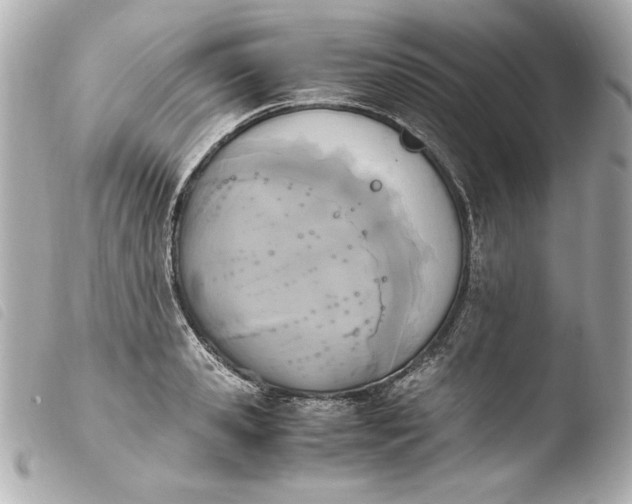 X0000103940941200810031319