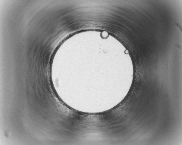 X0000103940942200810031319