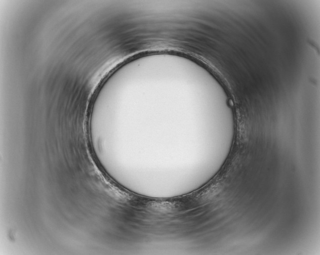 X0000103940943200810031319