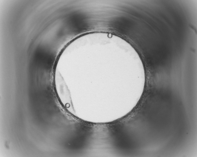 X0000103940944200810031319