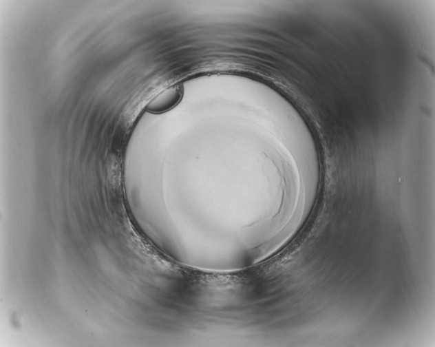 X0000103940945200810031319