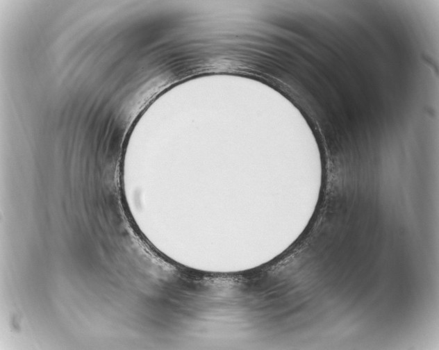 X0000103940946200810031319