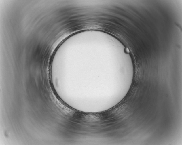 X0000103940947200810031319