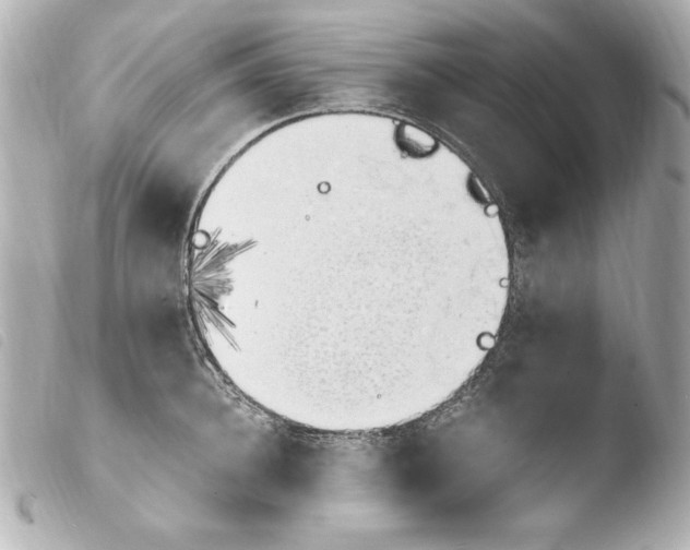 X0000103940948200810031319