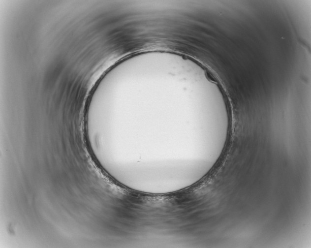 X0000103940949200810031319