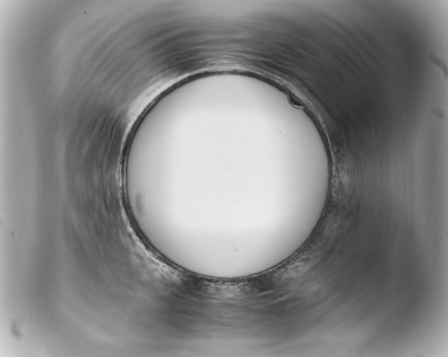 X0000103940951200810031319