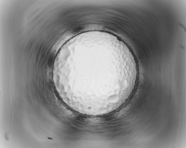 X0000103940953200810031319