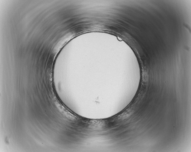 X0000103940954200810031319