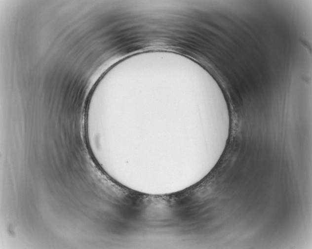 X0000103940955200810031319