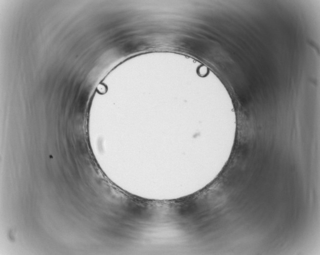 X0000103940956200810031319