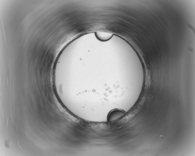 X0000103940957200810031319