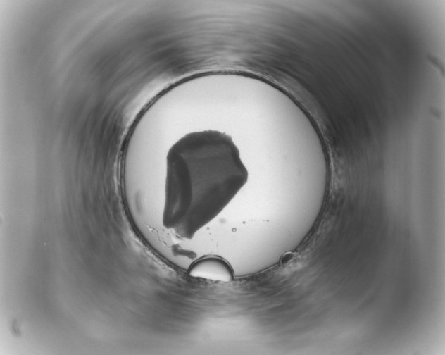 X0000103940958200810031319