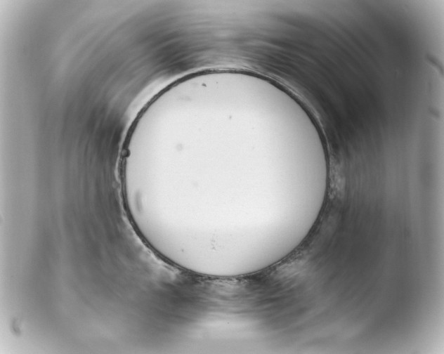 X0000103940959200810031319