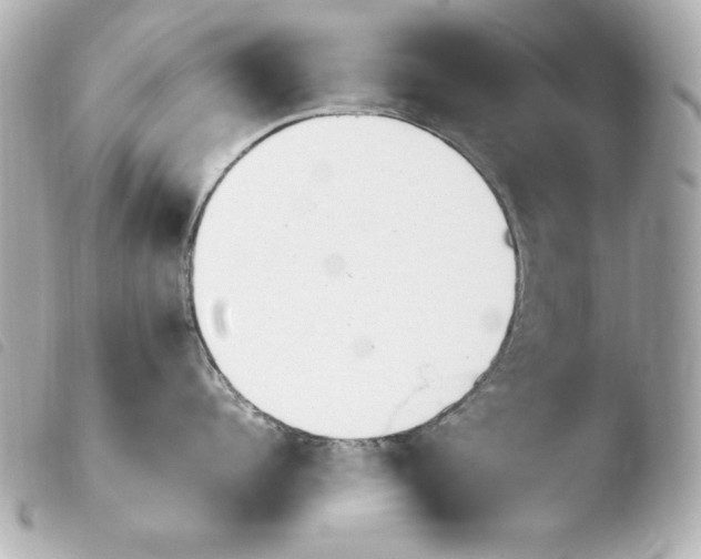 X0000103940960200810031319