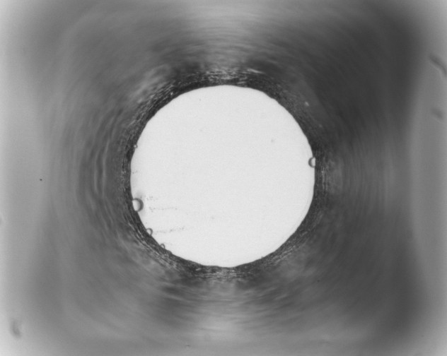 X0000103940961200810031318