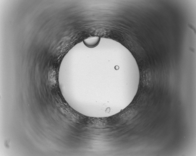 X0000103940962200810031318