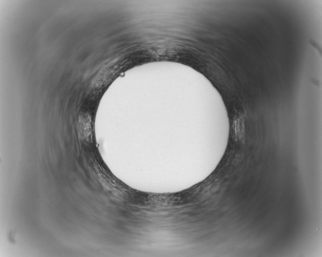 X0000103940963200810031318