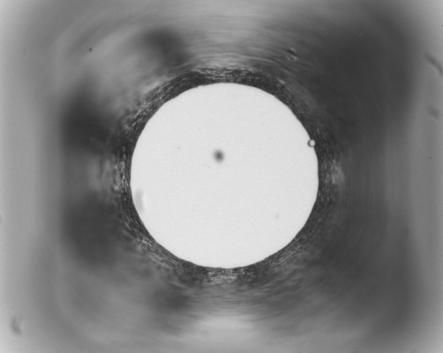 X0000103940965200810031318