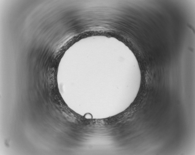 X0000103940968200810031318