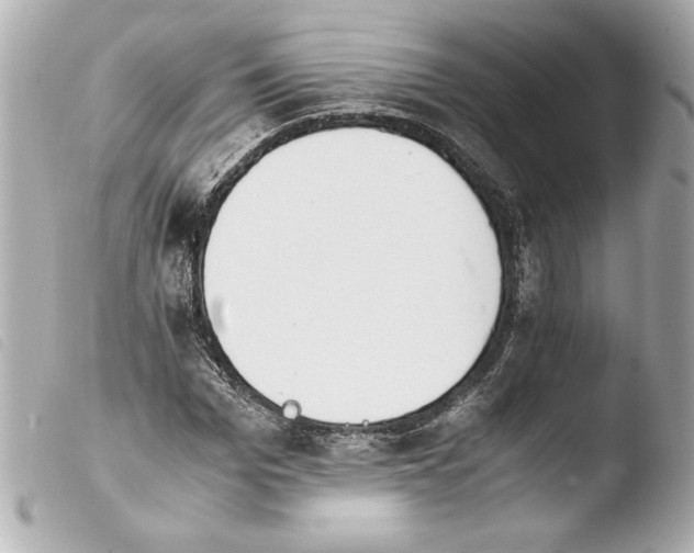 X0000103940969200810031318