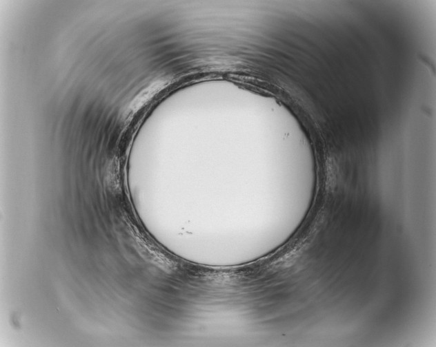 X0000103940970200810031318