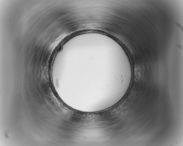 X0000103940972200810031318