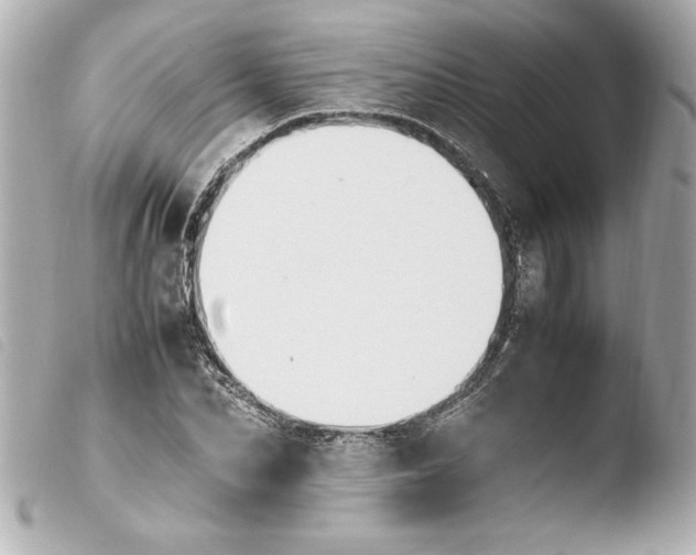 X0000103940974200810031318