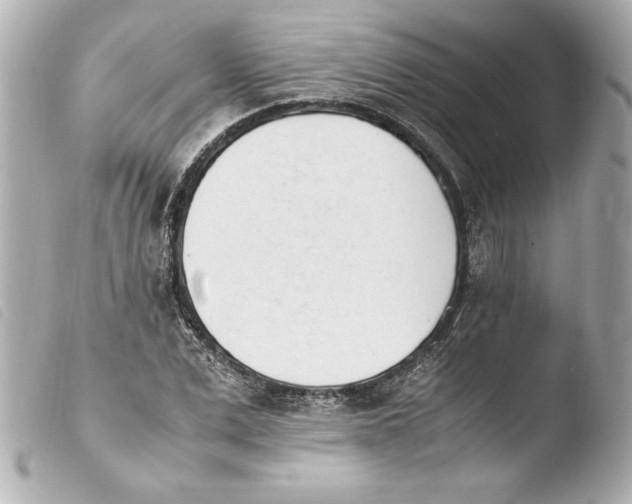 X0000103940975200810031318