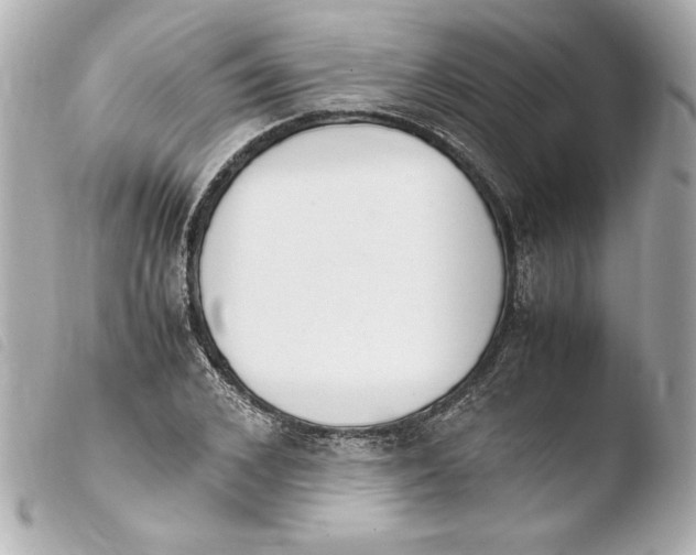 X0000103940976200810031318