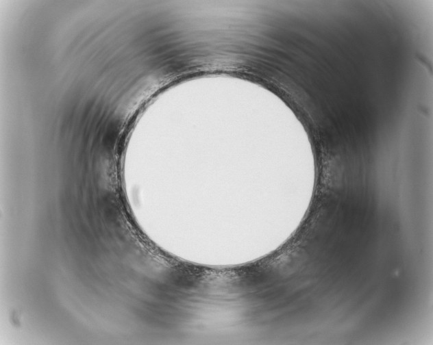 X0000103940978200810031318