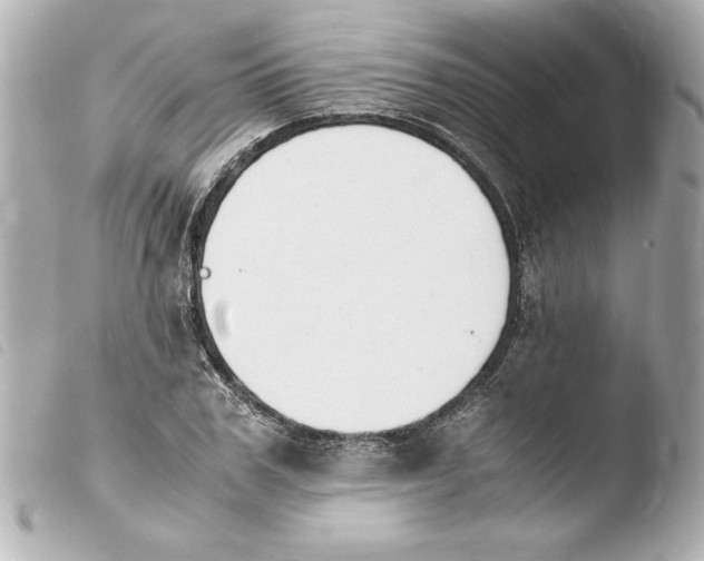 X0000103940979200810031318