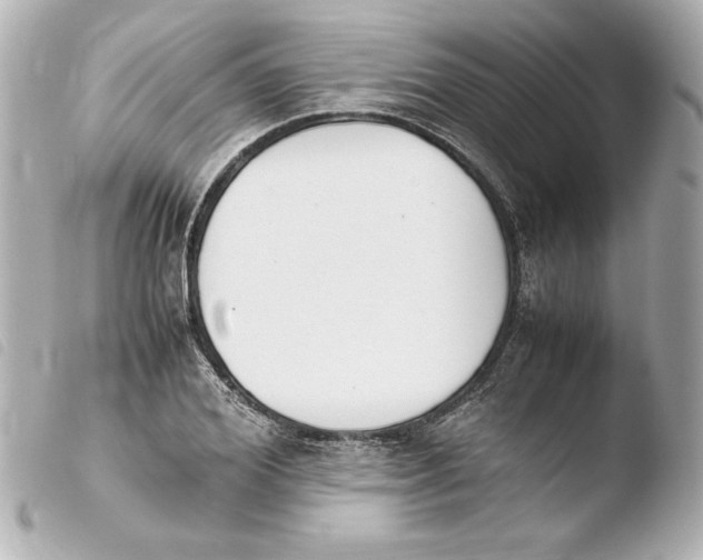 X0000103940980200810031318