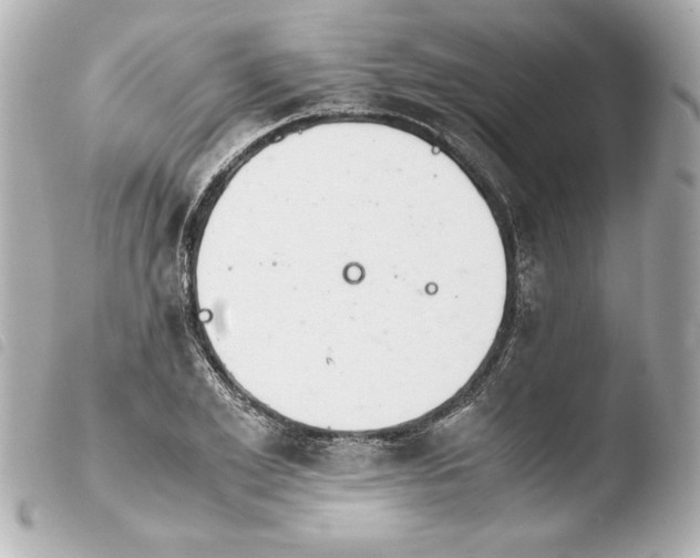 X0000103940981200810031318