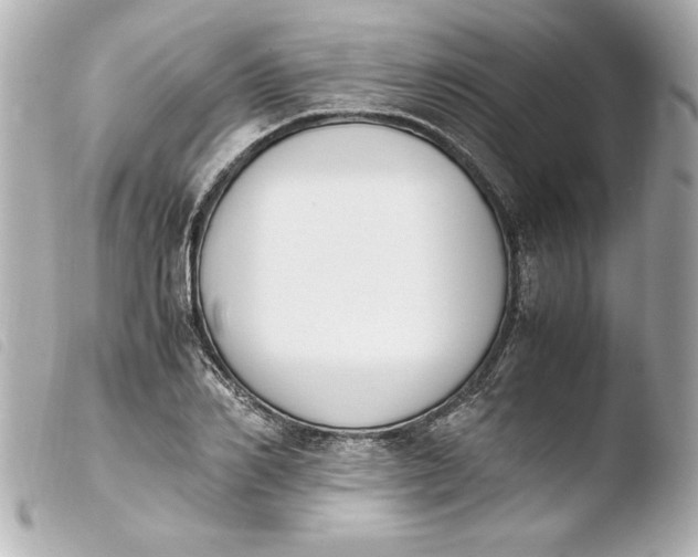 X0000103940982200810031318