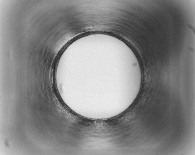 X0000103940983200810031318