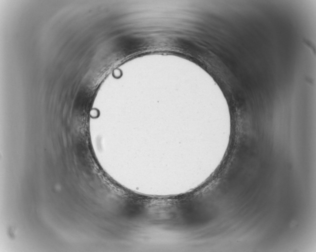 X0000103940985200810031318