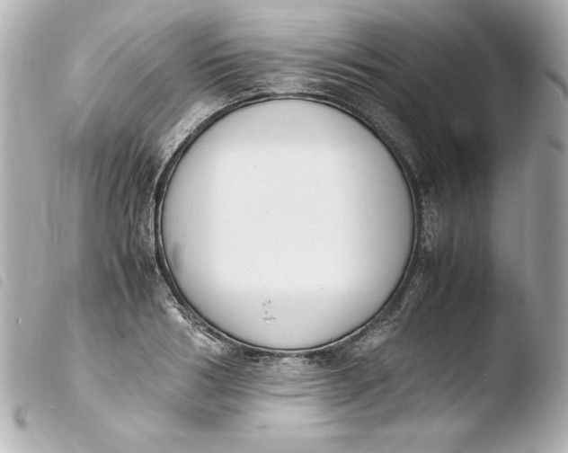 X0000103940986200810031318