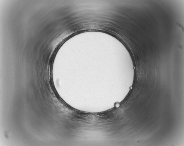 X0000103940987200810031318