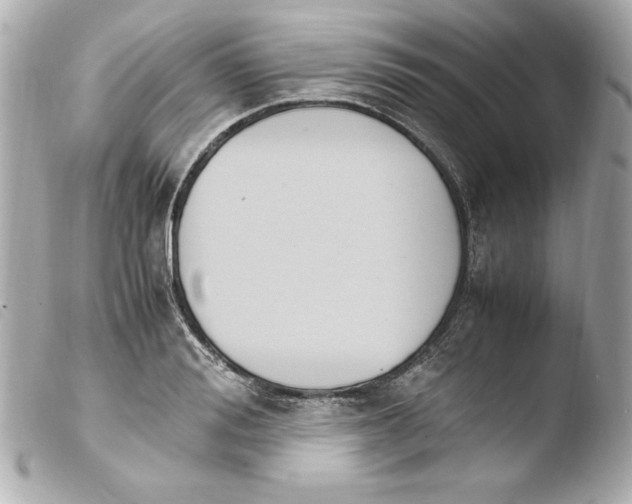 X0000103940988200810031318