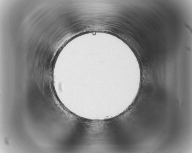 X0000103940989200810031318